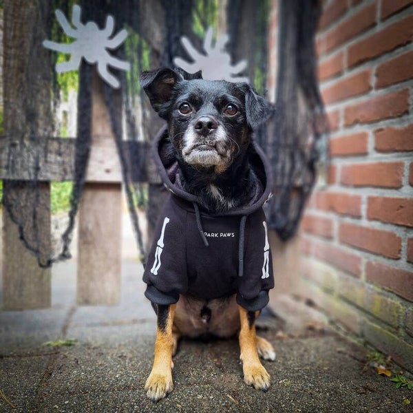 Halloween Dog Hoodie - Reflective Skeleton