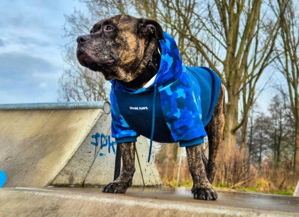 Blue Camo Hondenhoodie