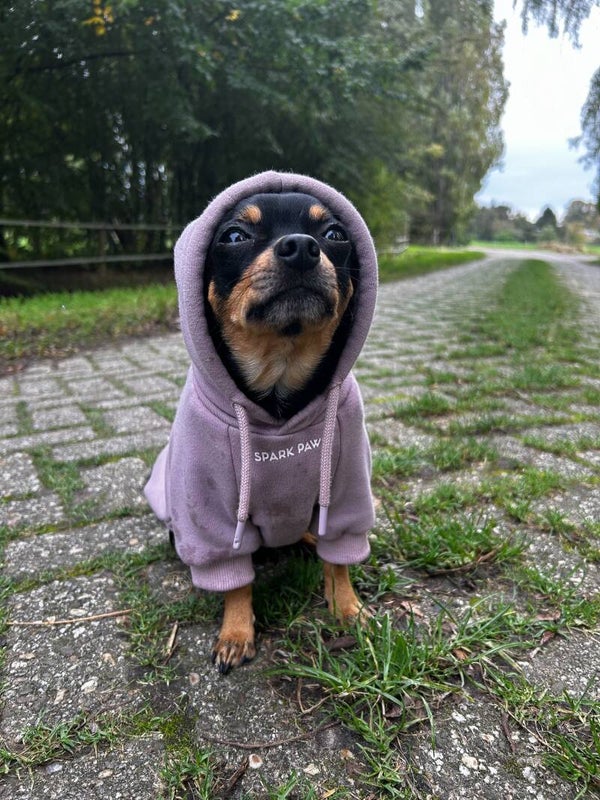Essential Dog Hoodie -  purple taupe