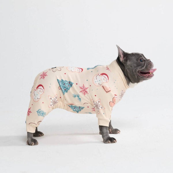 Kerst hondenpyjama - IJzige Nacht