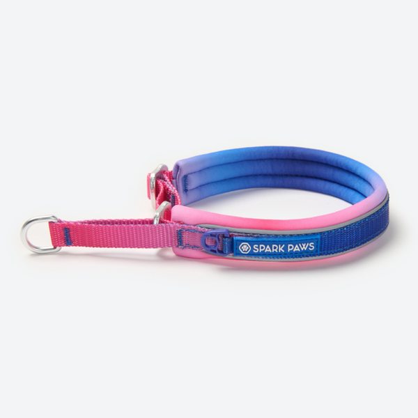 Martingale halsband - Snow Cone