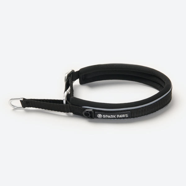 Martingale halsband - Zwart