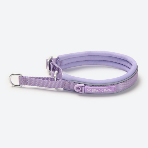Martingale halsband - Lila