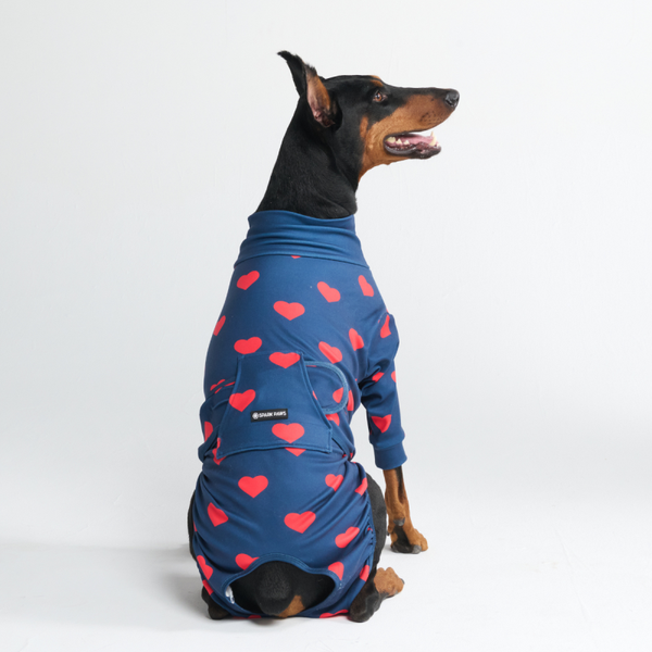 Medisch Rompertje voor Honden - Hart