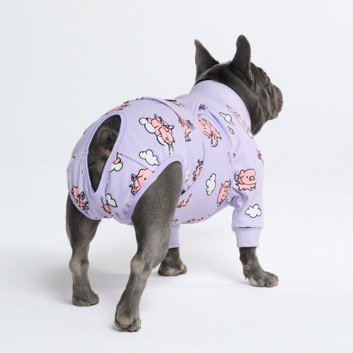 Medisch Rompertje voor Honden - Vliegende Varkens
