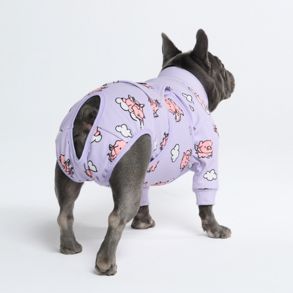 Medisch Rompertje voor Honden - Vliegende Varkens