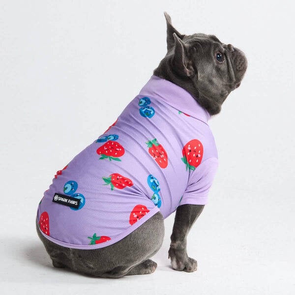 Zonnebrandshirt - Bessen