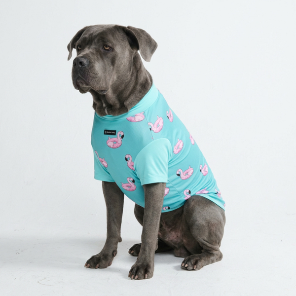 Zonnebrandshirt - Flamingo