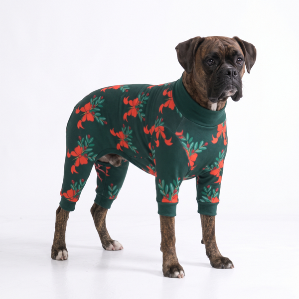 Kerst hondenpyjama - Mistletoe Night