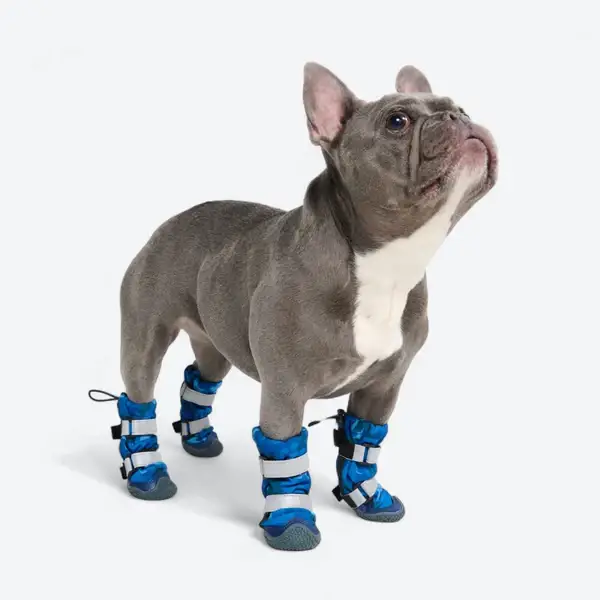 Flex Shell waterbestendige honden schoenen - Camo Blauw