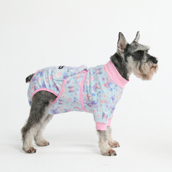 Medisch Rompertje voor Honden - Vlinder