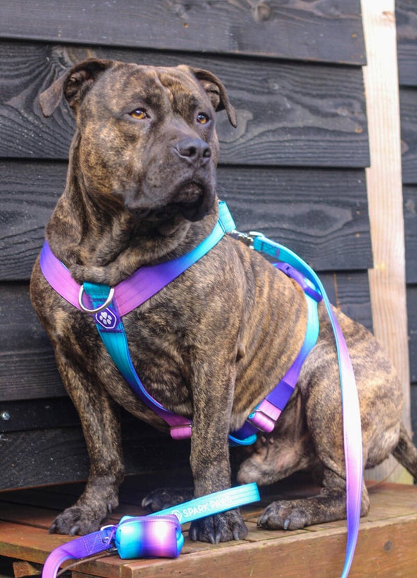 Sparkpaws Official complete set