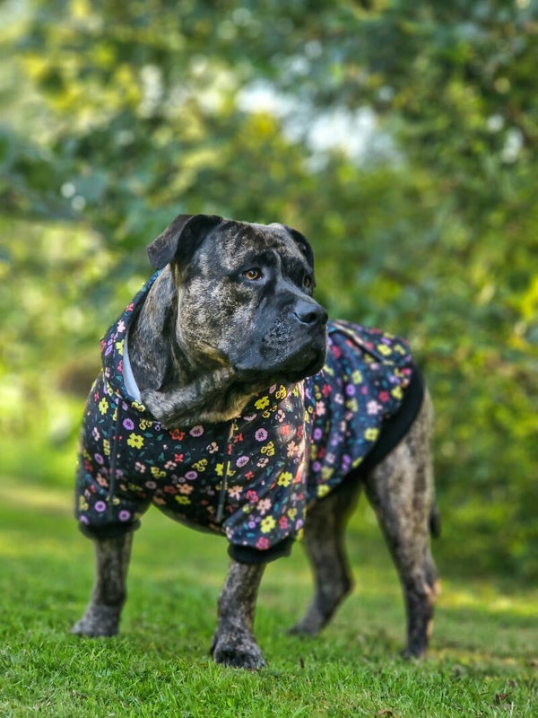 Vintage Flower Dog Hoodie - Black