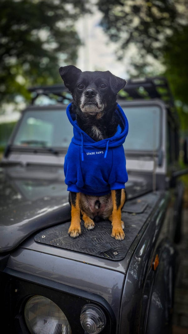Essential Dog Hoodie - Nachtblauw