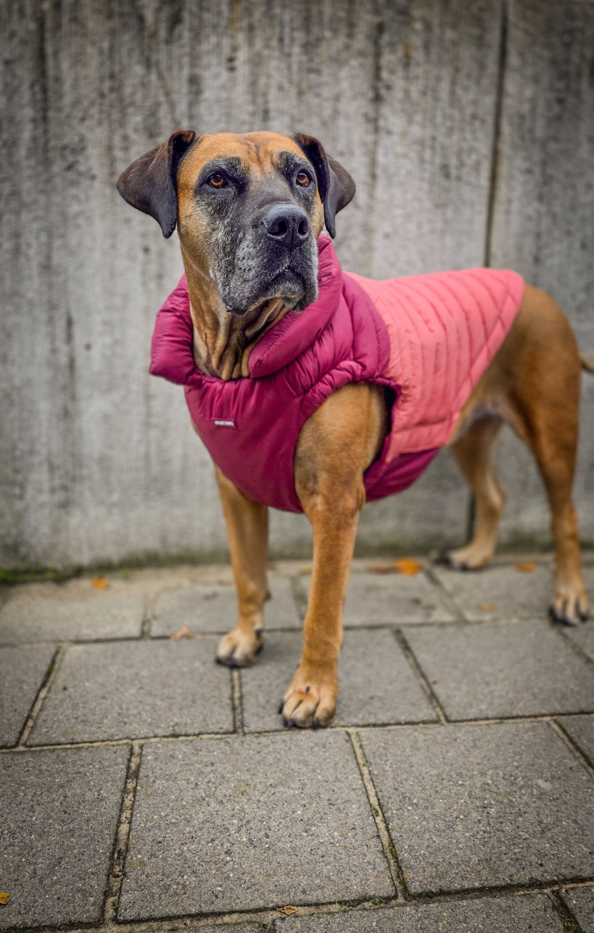 PuffShield winterjas - Roze