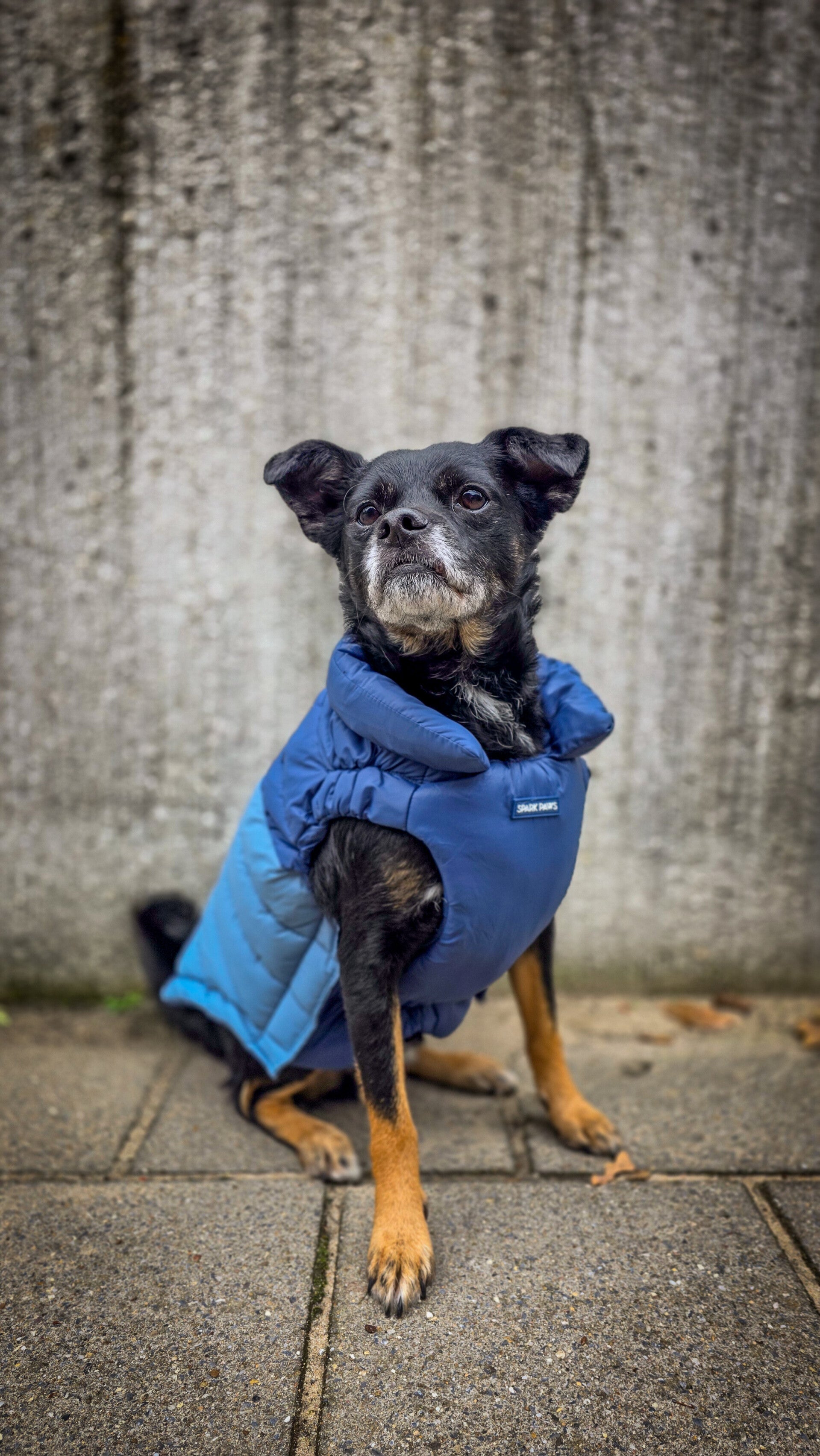PuffShield winterjas - Blauw