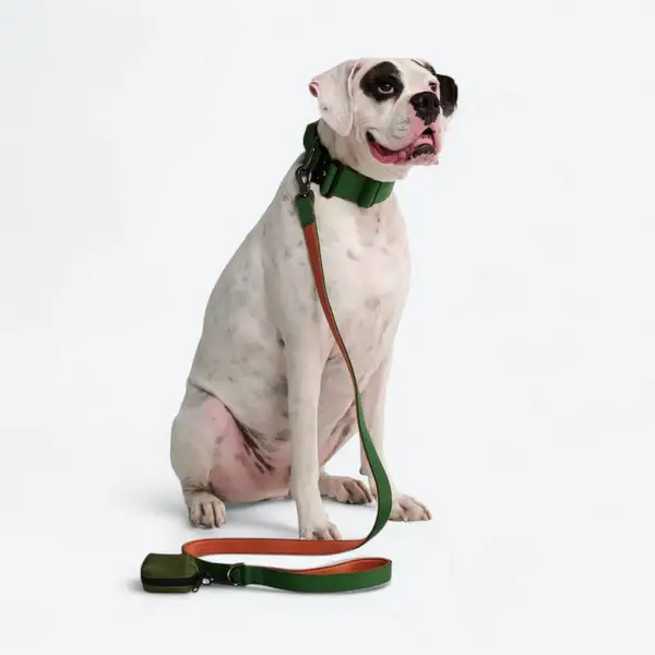 Tactical halsband set - Groen/ Oranje