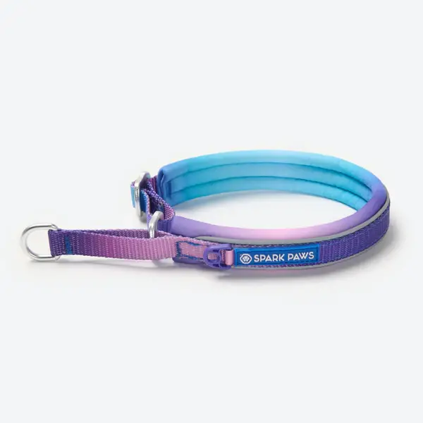 Martingale halsband - Retro 90'