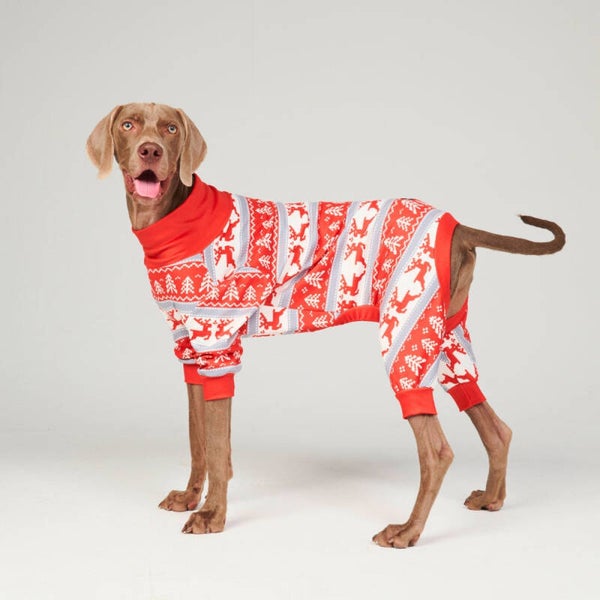 Honden Pyjama Winter Wonderland