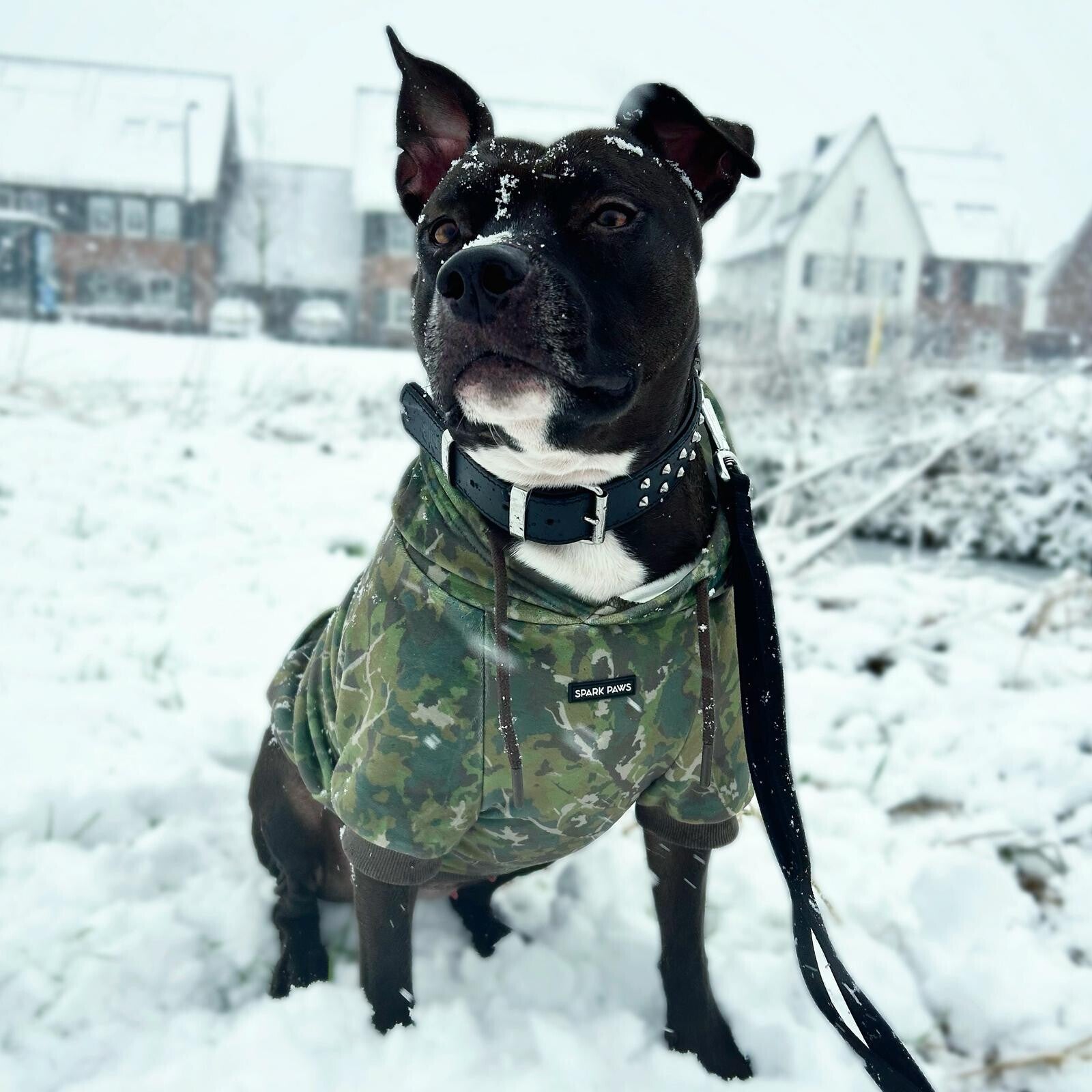 Concrete Wood Dog Hoodie – Mos