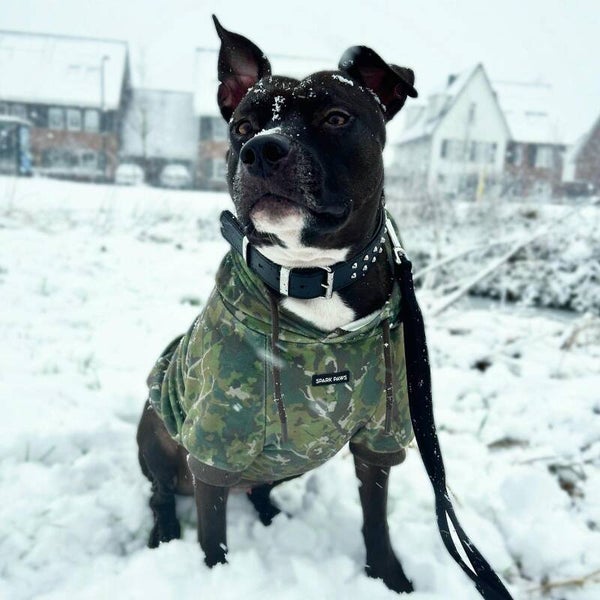 Concrete Wood Dog Hoodie – Mos