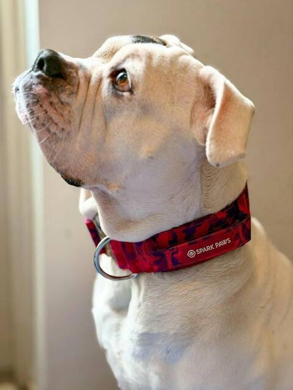 Spark Paws official Tactical halsband - Camo Fuchsia