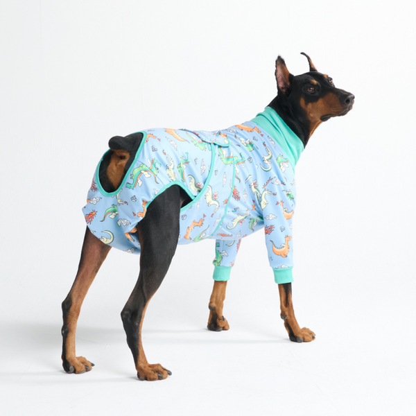 Medisch Rompertje voor Honden - Draken