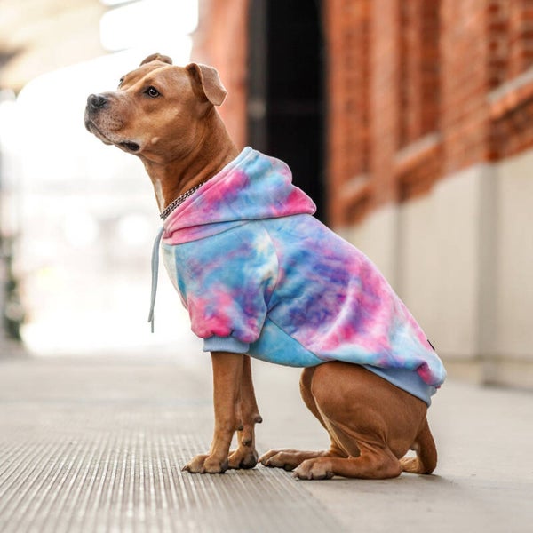 Velvet doghoodie Sale