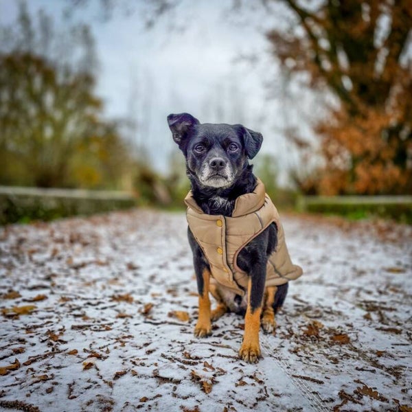 WarmShield waterbestendige jas - Bruin