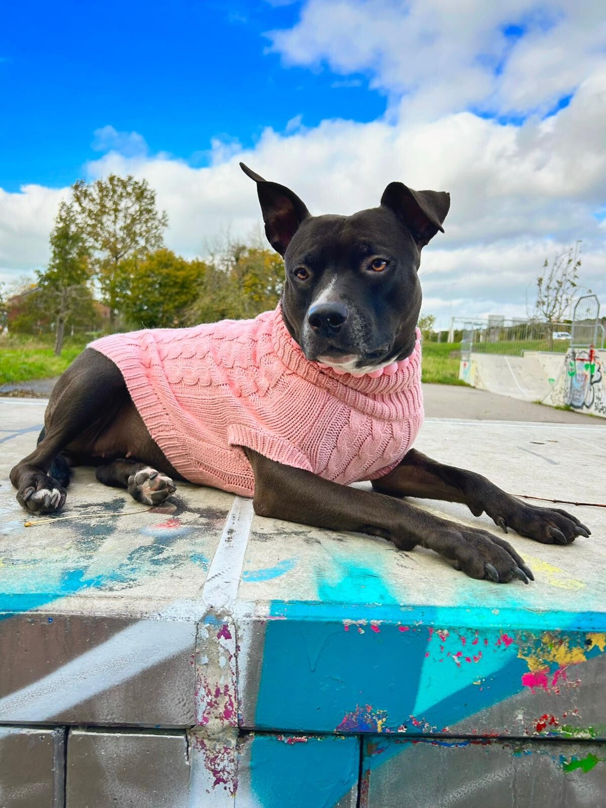 Spark Paws kabel gebreide knit - Roze