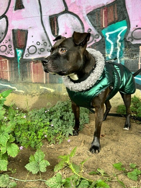Slip-on winterjas - Metallic groen