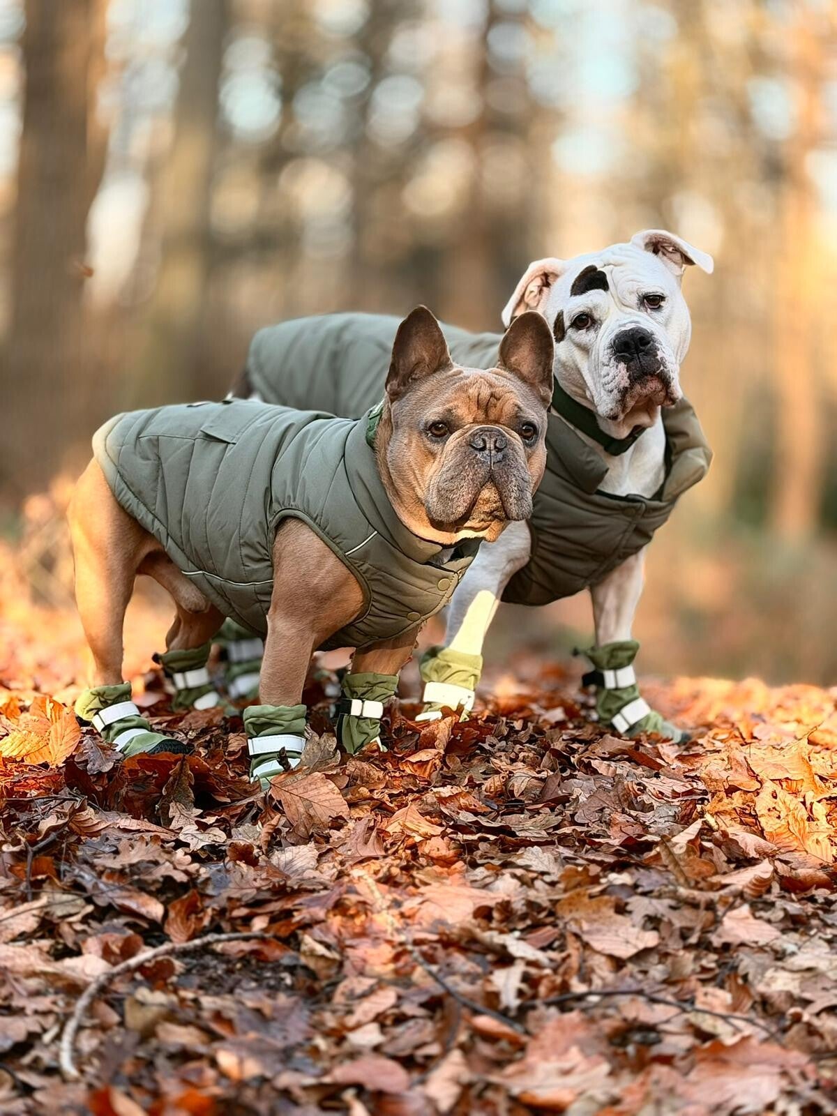 WarmShield Water-Resistant Jacket - Olive