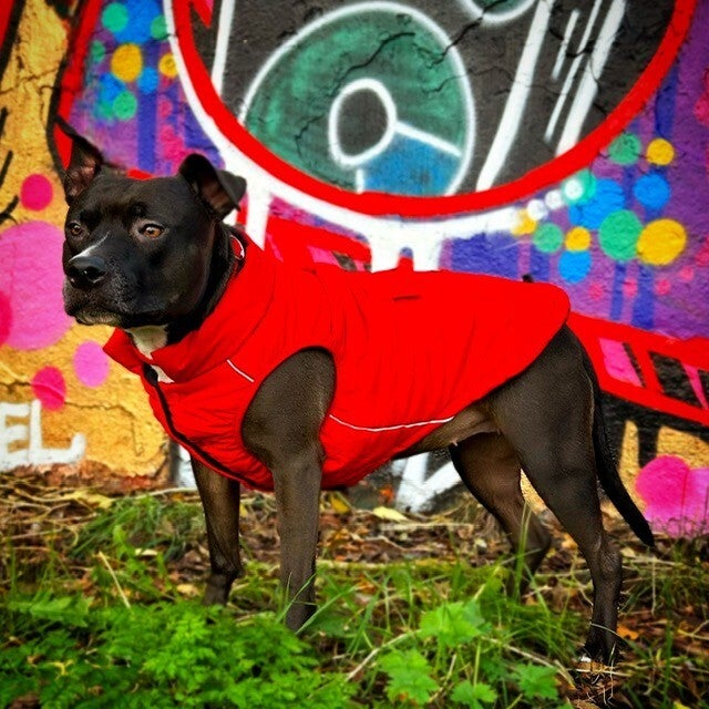 Spark Paws official Warm Shield waterbestendige jas - Rood