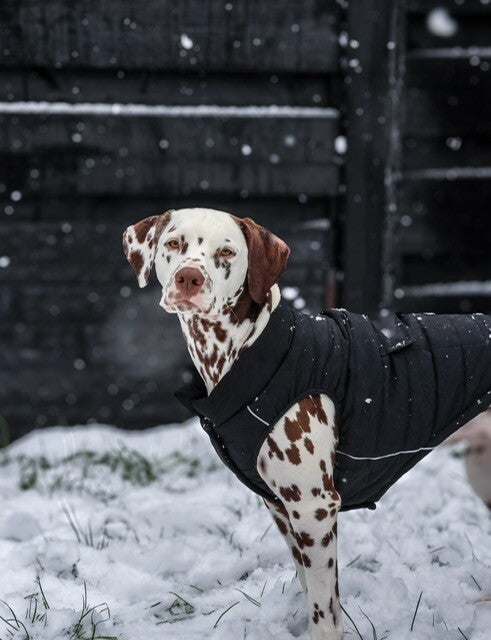 WarmShield waterbestendig jack zwart