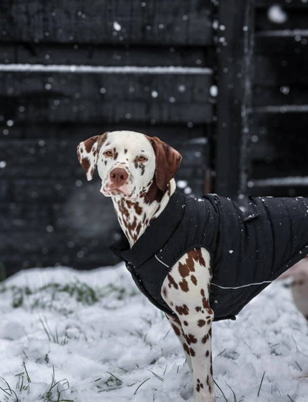 WarmShield waterbestendig jack zwart