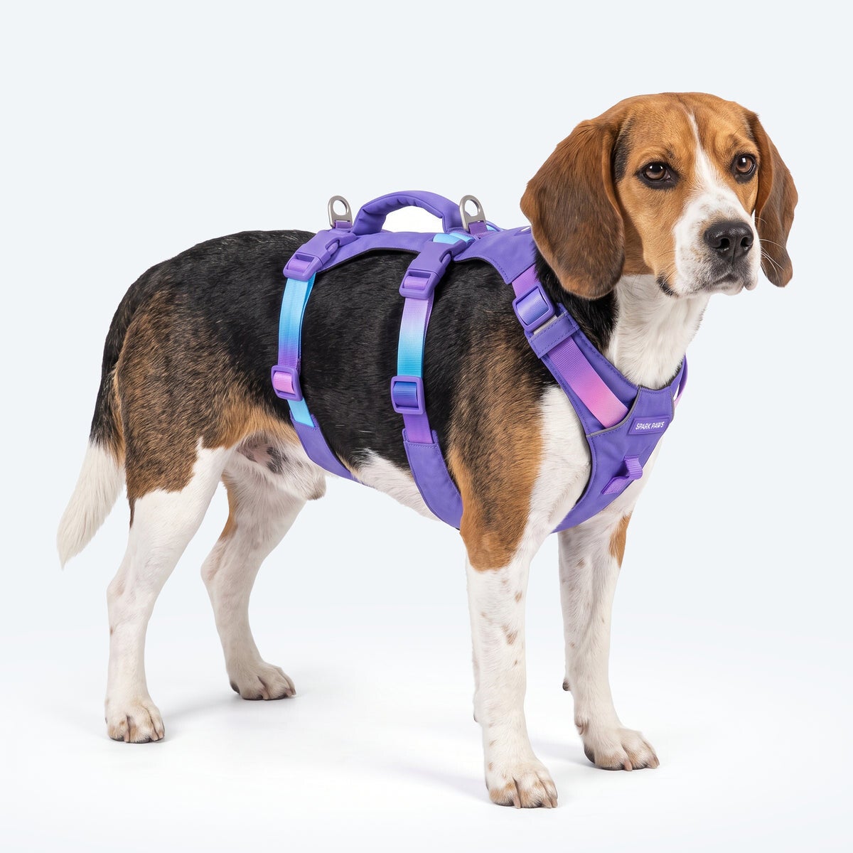 AeroThin escape proof harness - 90s Retro