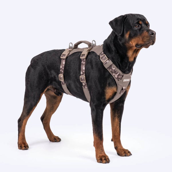 AeroThin escape proof harness - Tan Camo