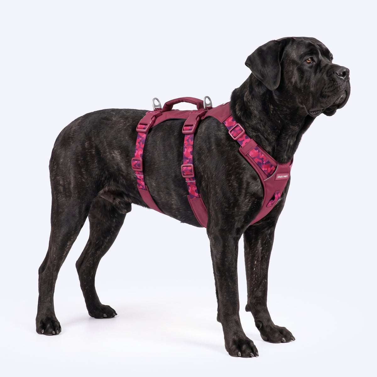 AeroThin escape proof harness - Fuchsia Camo