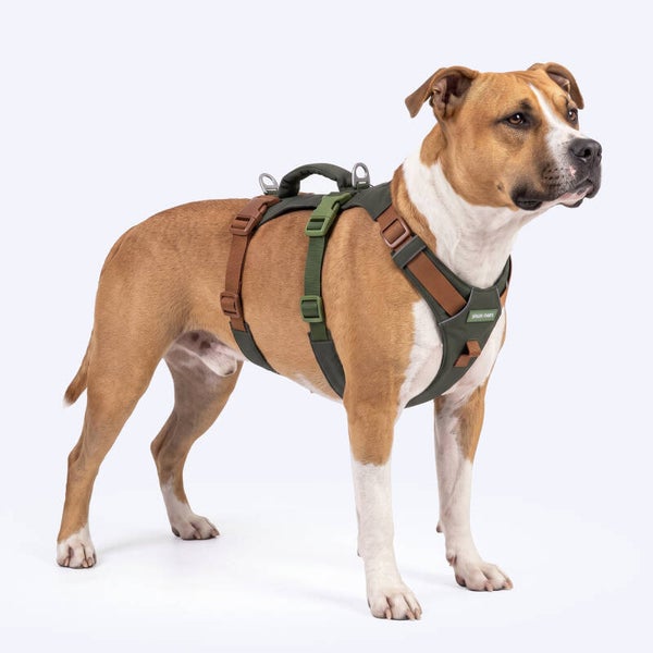 AeroThin escape proof harness - Green/Brown