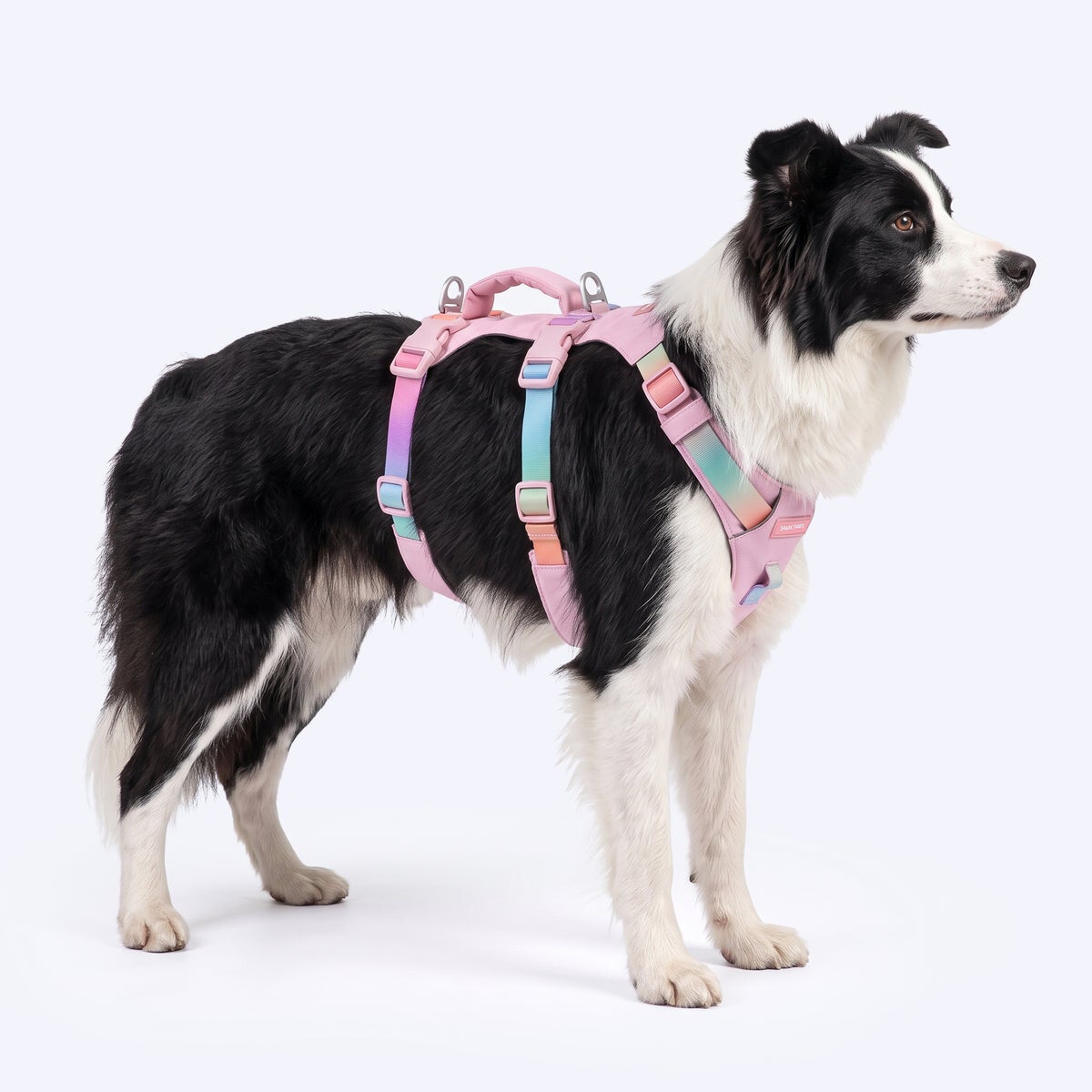 AeroThin escape proof harness - Pastel Icing