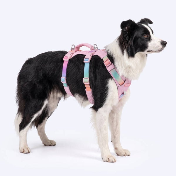 AeroThin escape proof harness - Pastel Icing