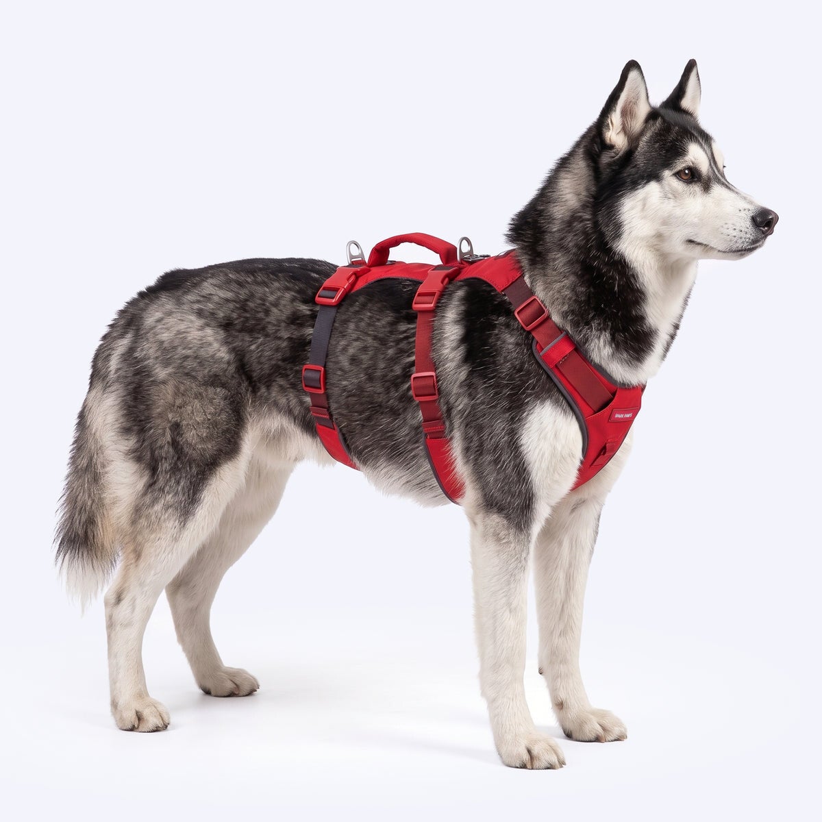 AeroThin escape proof harness - Red