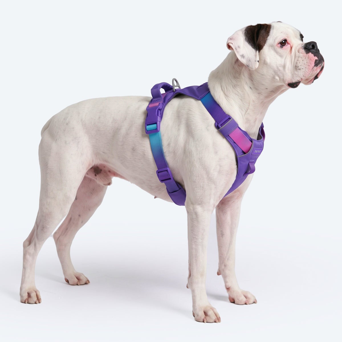 AeroThin everyday harness - 90s Retro