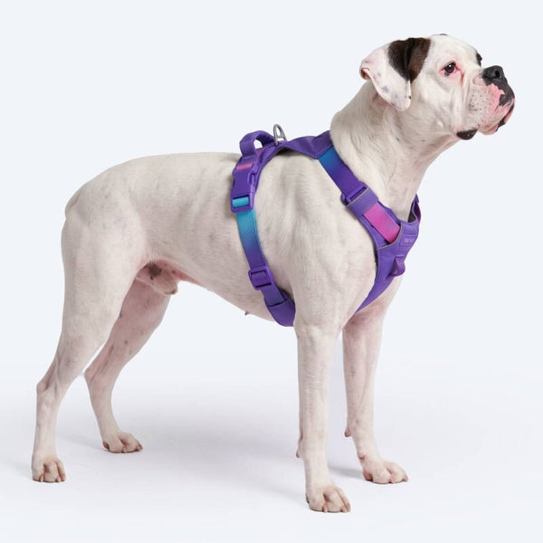 AeroThin everyday harness - 90s Retro