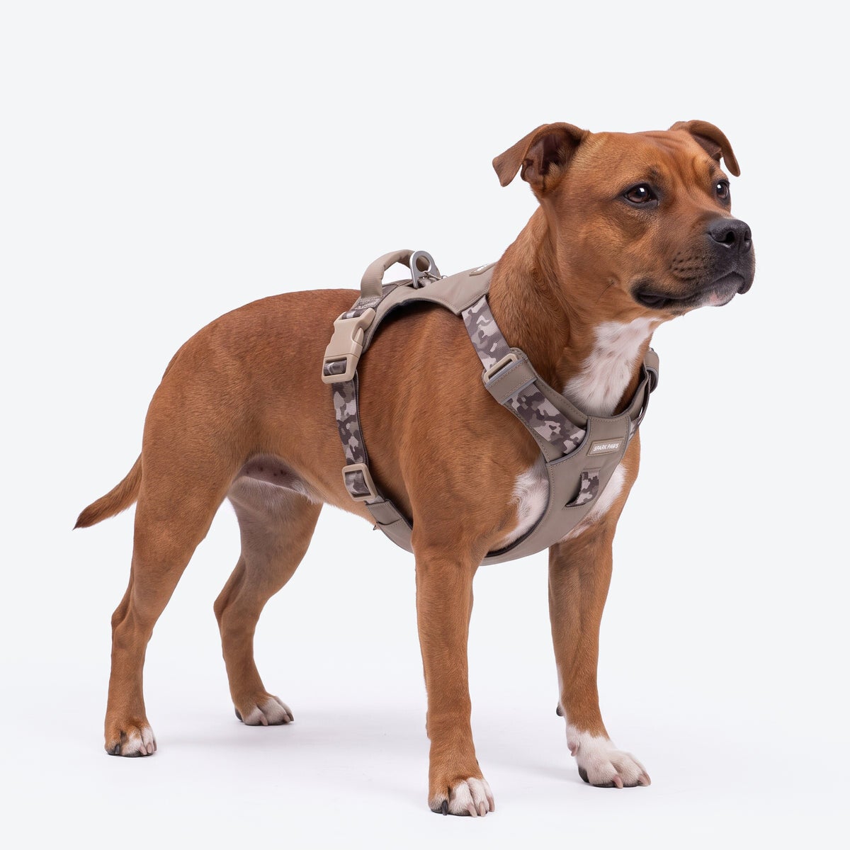 AeroThin everyday harness - Tan Camo