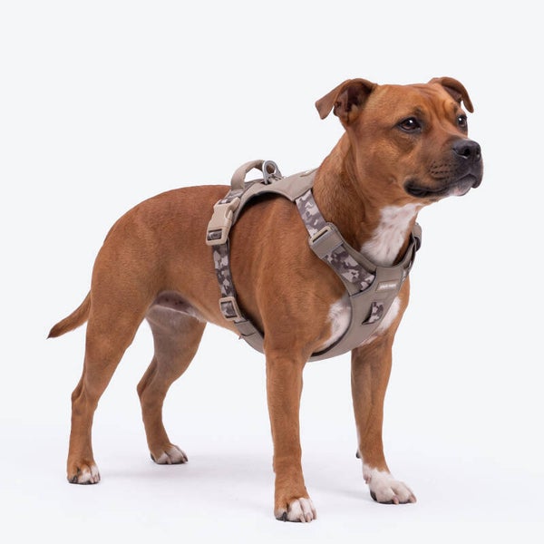 AeroThin everyday harness - Tan Camo