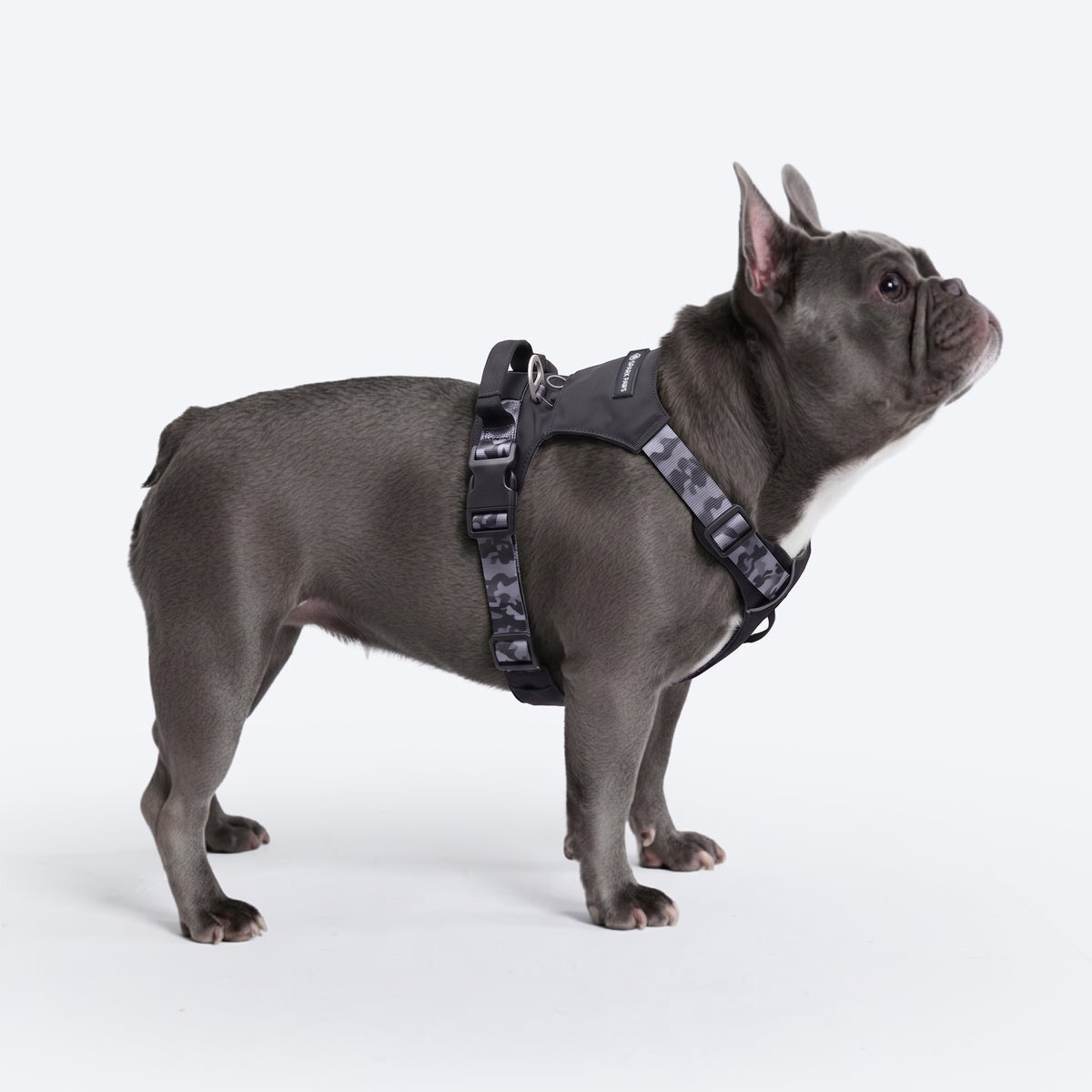 AeroThin everyday harness - Black Camo