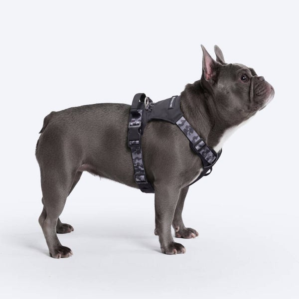 AeroThin everyday harness - Black Camo