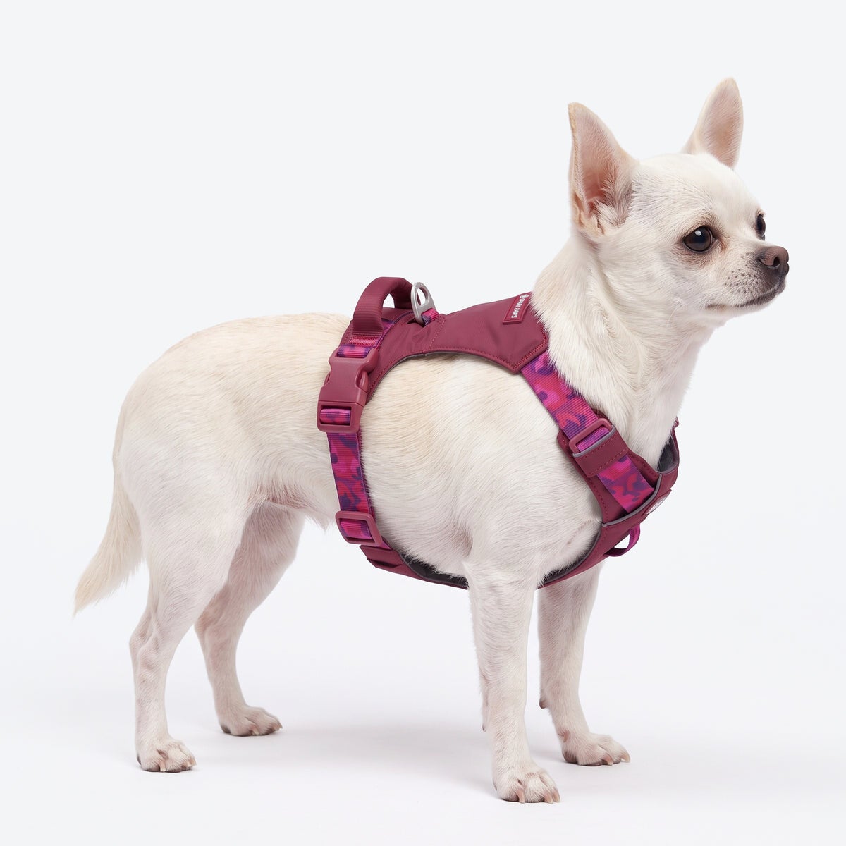 AeroThin everyday harness - Fuchsia Camo