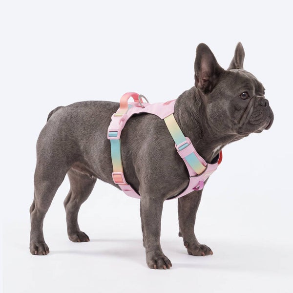 AeroThin Everyday Harness - Pastel Icing